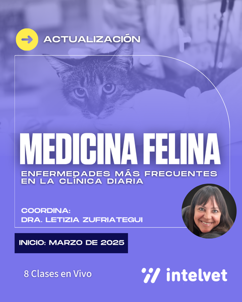 NUEVO! Actualización en Medicina Felina: enfermedades más frecuentes en la clínica diaria