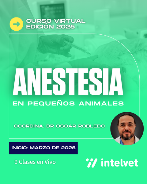 EDICIÓN 2025. Anestesia en Pequeños Animales: Principios y Prácticas para Procedimientos Seguros