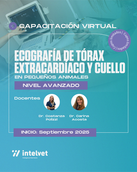 NUEVO! Capacitación de Ecografía de Tórax Extracardíaco y Cuello en Pequeños Animales (Nivel Avanzado)