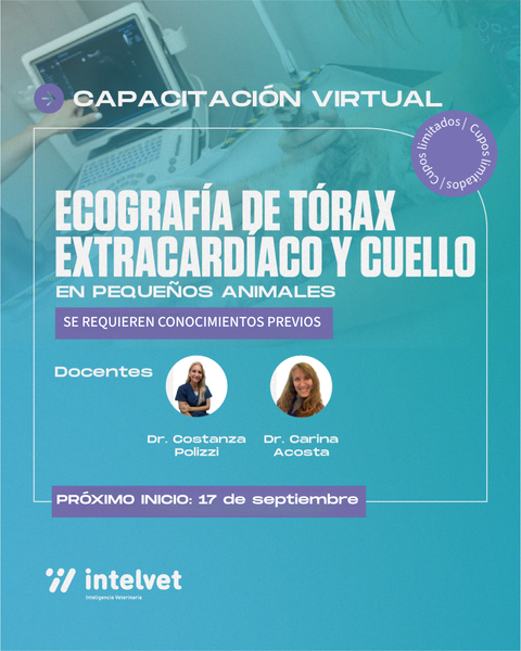 PRÓXIMO INICIO! Capacitación de Ecografía de Tórax Extracardíaco y Cuello en Pequeños Animales