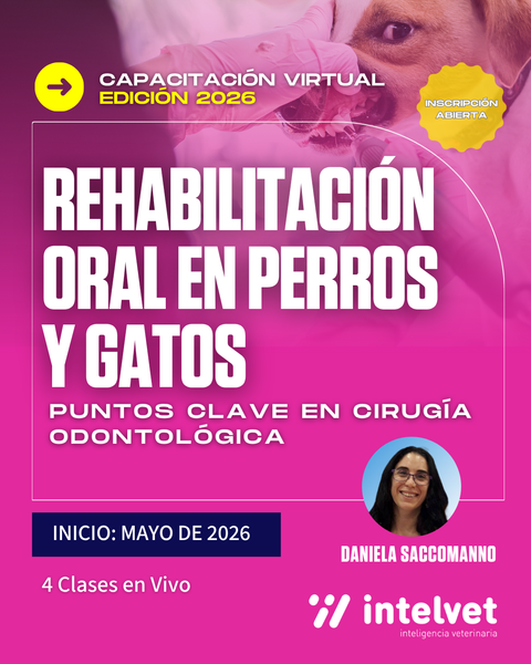 PROPUESTA 2026. Capacitación virtual en Rehabilitación Oral en Perros y Gatos: puntos clave en cirugía odontológica