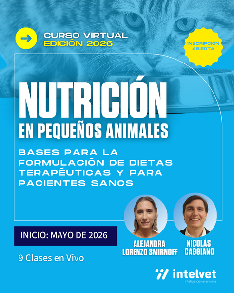 PROPUESTA 2026. Nutrición en pequeños animales: bases para la formulación de dietas terapéuticas y para pacientes sanos