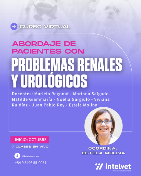 BENEFICIO LANZAMIENTO! Nuevo curso virtual: Abordaje de Pacientes con Problemas Renales y Urológicos