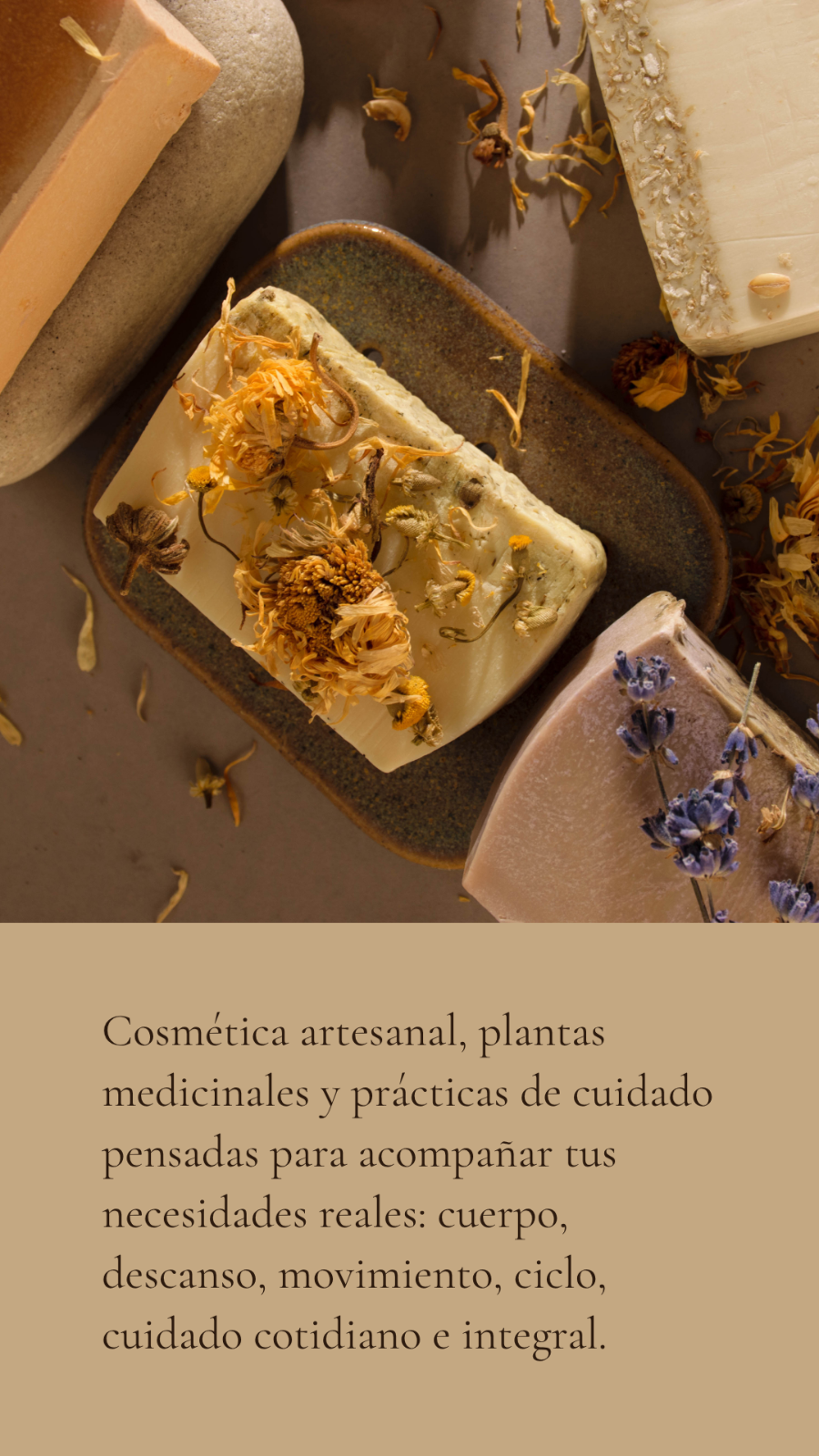Ungüentos y bálsamos para el cuidado corporal