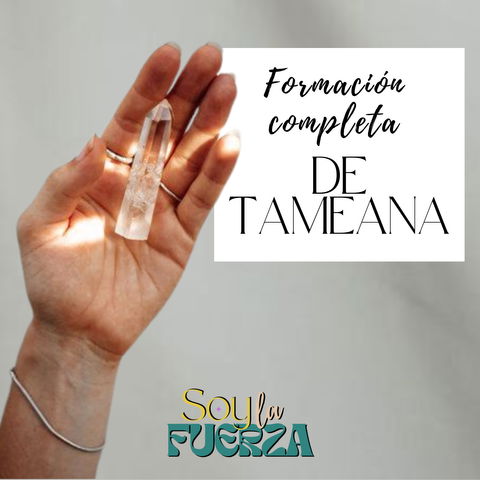 Formacion online TAMEANA