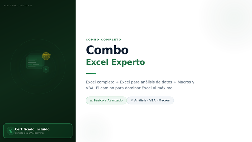 Combo EXCEL EXPERTO