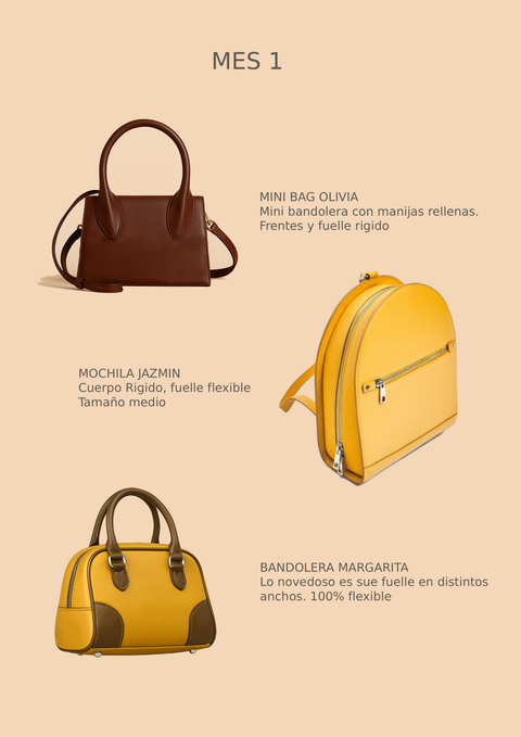 FORMACION AVANZADA: carteras RIGIDAS Y SEMI