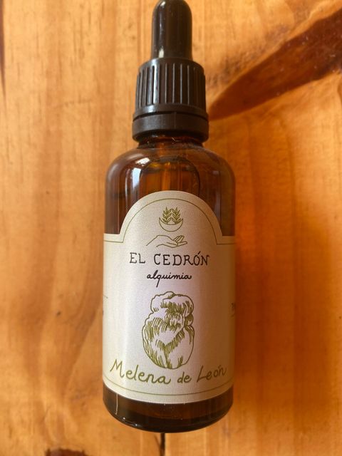 EXTRACTO DE MELENA DE LEÓN