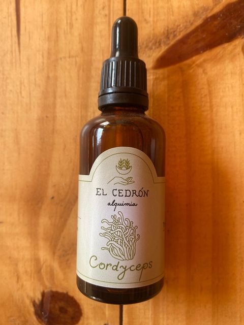 EXTRACTO DE CORDYCEPS